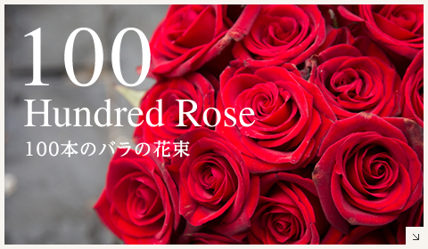 100 Hundred Rose 100本のバラの花束